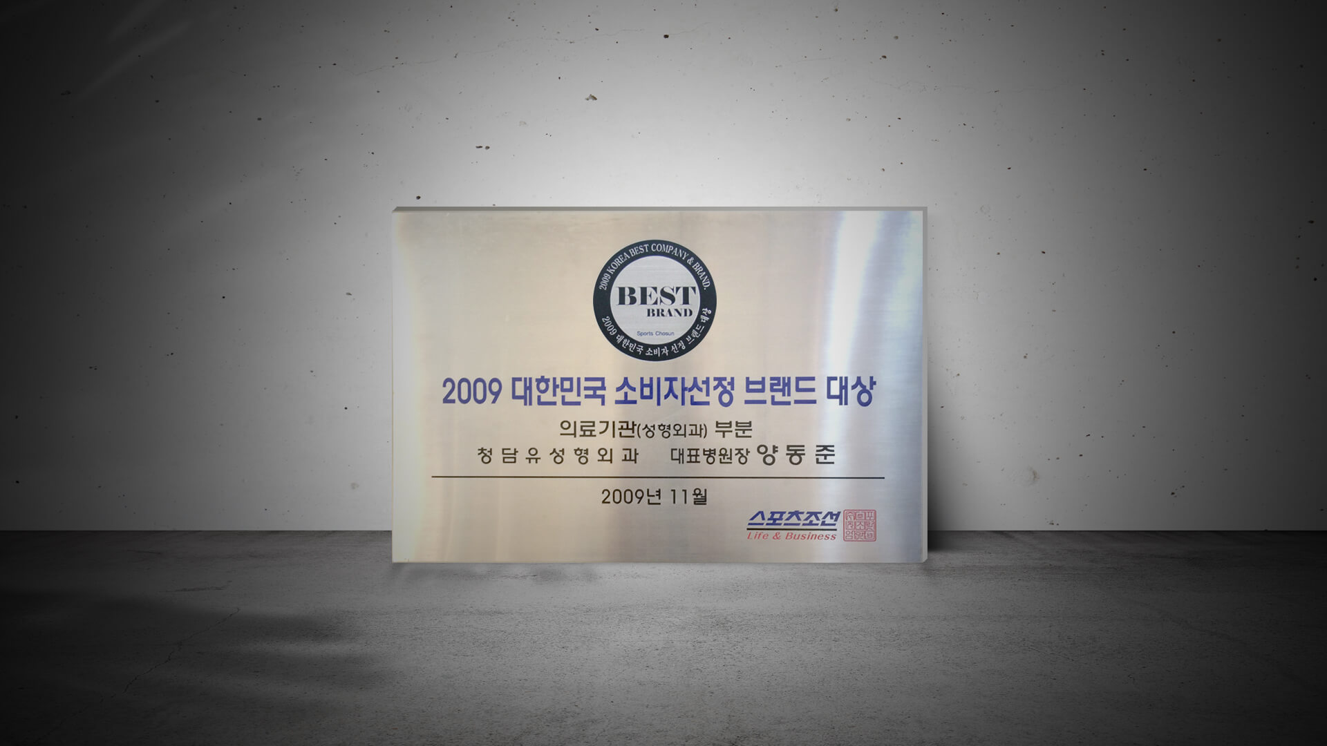 2009 Korea Best Brand Awards